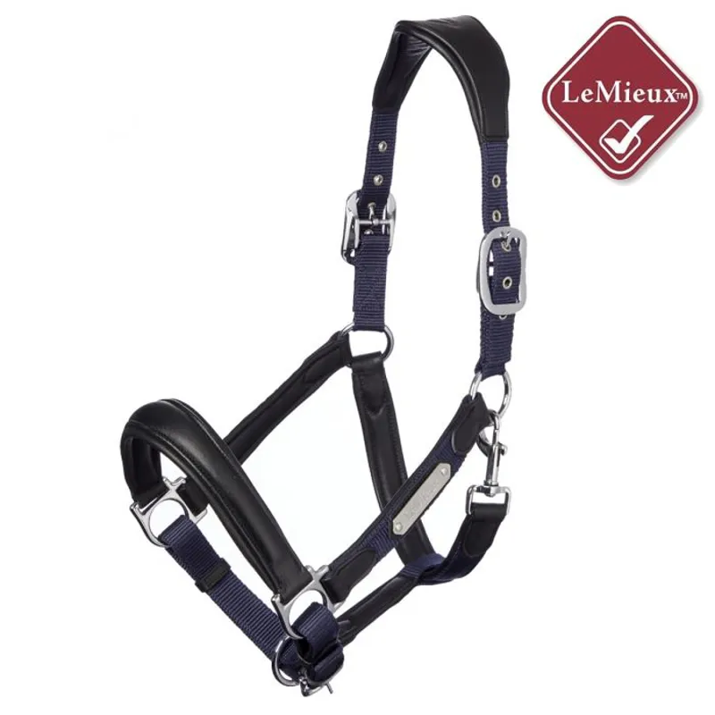 LeMieux Capella Headcollar Navy